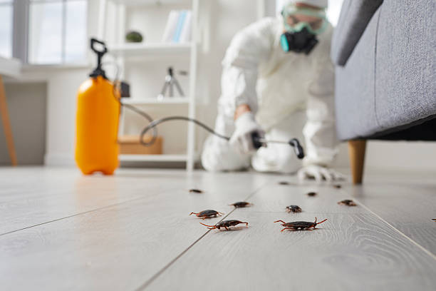 Commercial Kitchen Cockroach Control in Alma